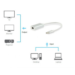 Adaptador Equip USB-C para DisplayPort M/F 15cm